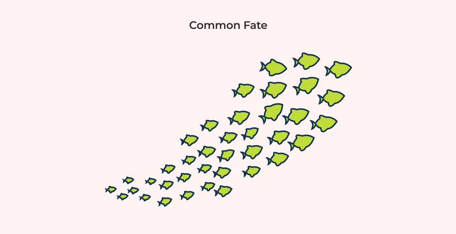 common fate design principle example: school of fishes moving together illustration