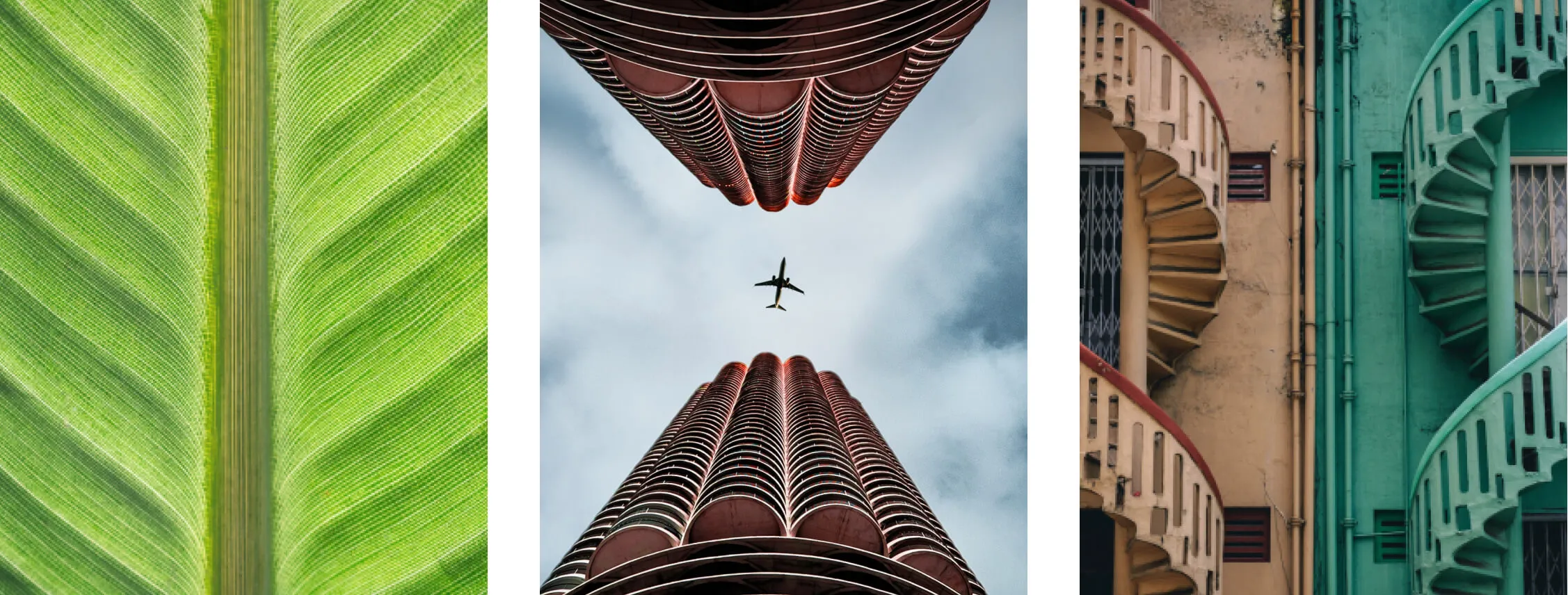 symmetry example in man-made structures (buildings) and symmetry in nature (leaf)