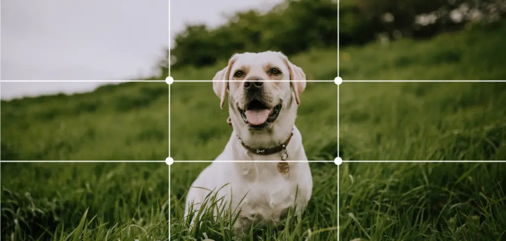 Rule of Thirds: What is it and how to use it? - ux360.design