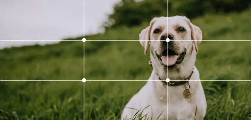 Rule of Thirds: What is it and how to use it? - ux360.design